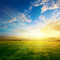 Daryl Nicolaisen obituary photo