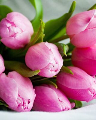 Martha Lane obituary photo